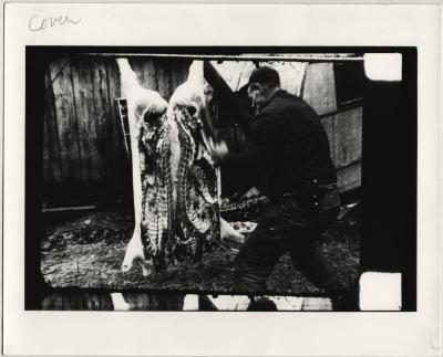 Film still of a butcher cutting a hog - Woodrow Cornett: Letcher Co. Butcher
