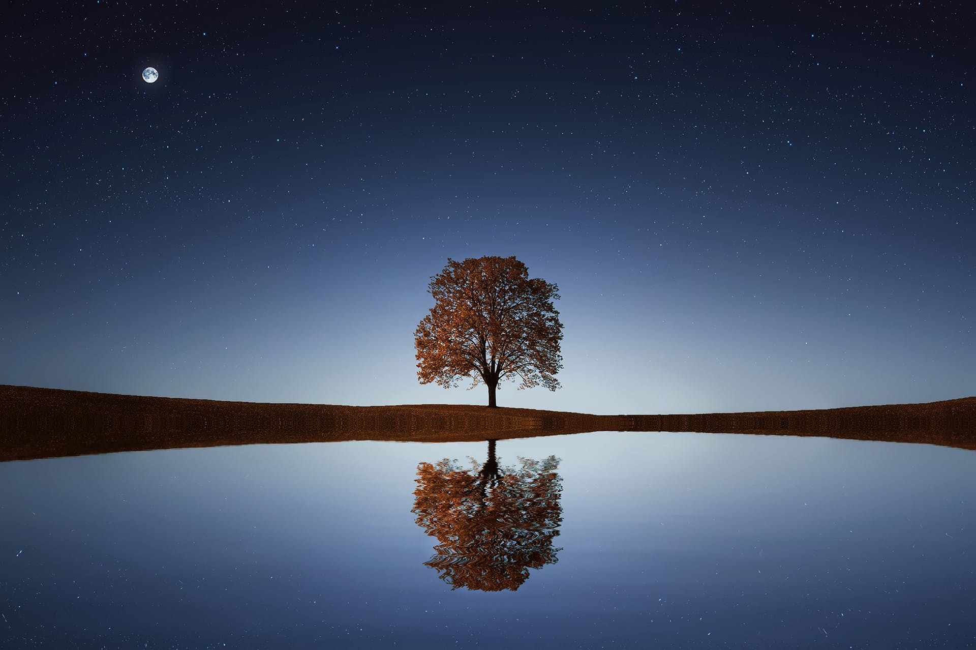 theme image